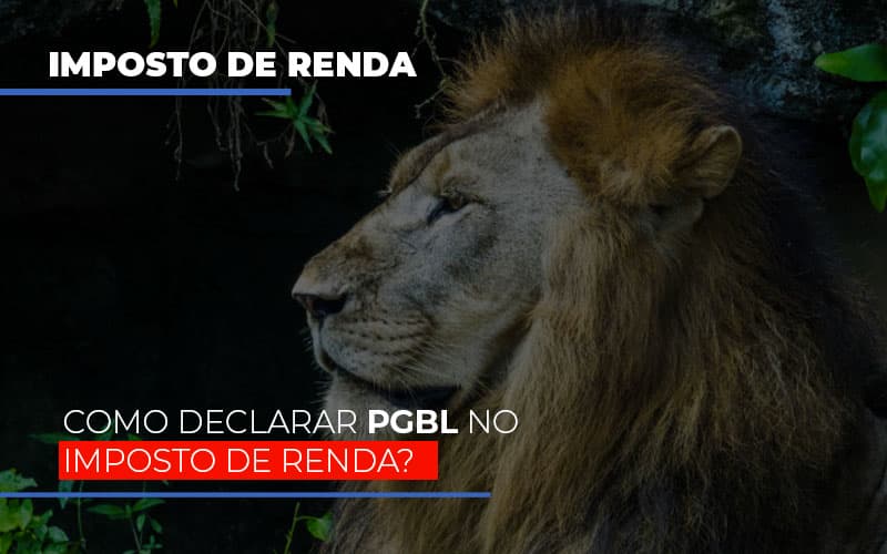 Ir2020:como Declarar Pgbl No Imposto De Renda Notícias E Artigos Contábeis - Notícias e Artigos Contábeis