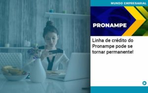 Linha De Credito Do Pronampe Pode Se Tornar Permanente - Notícias e Artigos Contábeis