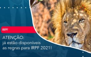 Ja Estao Disponiveis As Regras Para Irpf 2021 - Notícias e Artigos Contábeis